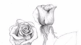 0a852633458050ade7b7a1252811840aee9c1856.jpg@280w_158h_1c_100q.jpg