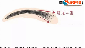 0a88f141845e124ae3f4bedfa5a35e43b9664e04.png@280w_158h_1c_100q.jpg