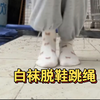 白袜脱鞋跳绳+女生宿舍玩闹+光脚挠脚心游戏挑战