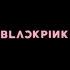 【建议收藏】BLACKPINK出道至今所有打歌舞台合集—持续更新（更新至Kill This Love）