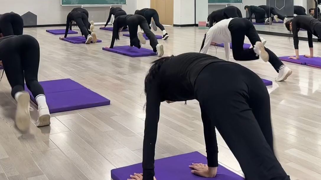 26届艺考生2025.11.29