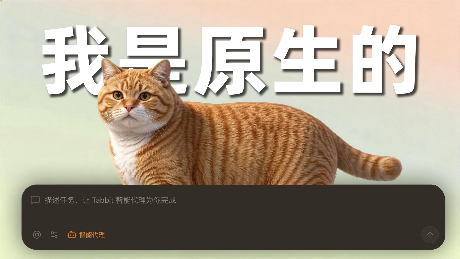 咦？浏览器混进了什么奇怪的东西？