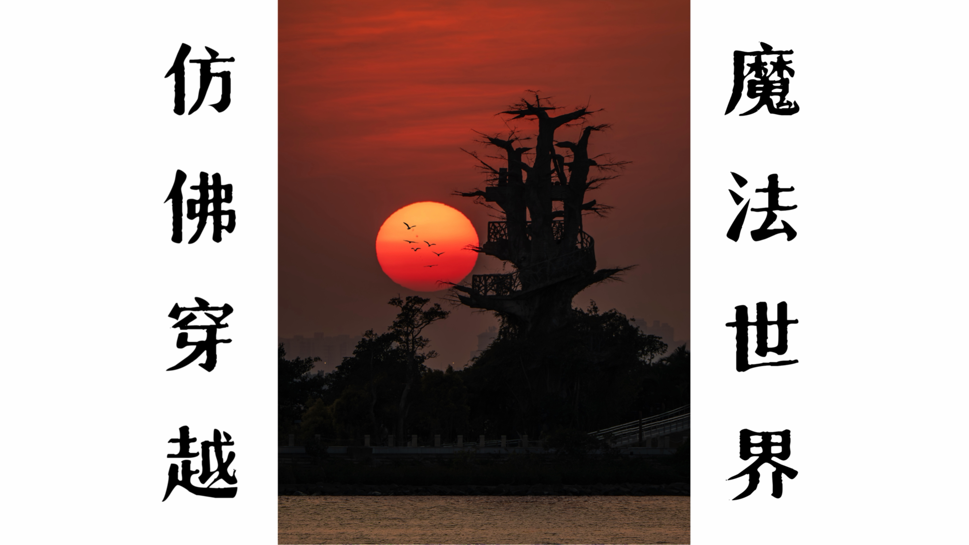 我用长焦，拍到电影里才会出现的魔法世界！
