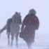 草原上的风吹雪，养牧的太不容易了，这大的风雪马群赶都赶不回来，记录牧民生活