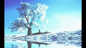 如何相信爱情存在 0acd4c4ad5ed2e2b67dcedca351afefe6062b270.jpg@280w_158h_1c_100q.jpg
