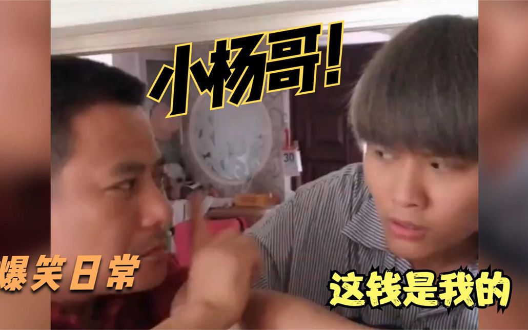 小杨哥爆笑名场面老妈让小杨哥擦冰箱老爸争着干活原来是这样
