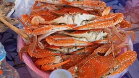 0af65c1e46d7b370da54ab3c84a232d85c9b95f7.jpg@280w_158h_1c_100q.jpg