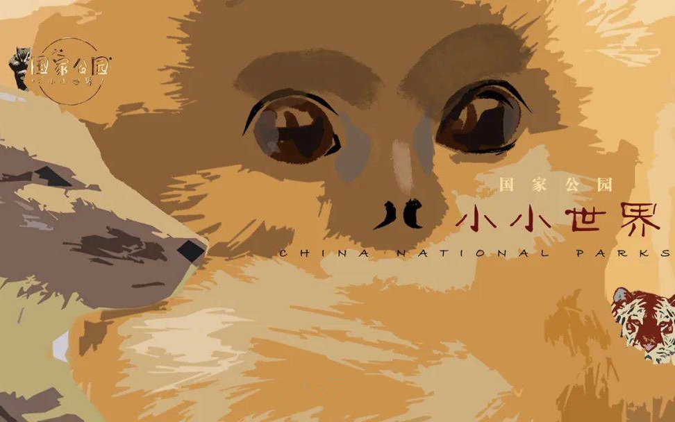【纪录片】国家公园·小小世界(2024)[5集]超清1080p中文字幕 藏狐 金丝猴 大熊猫 鹰嘴龟 花栗鼠