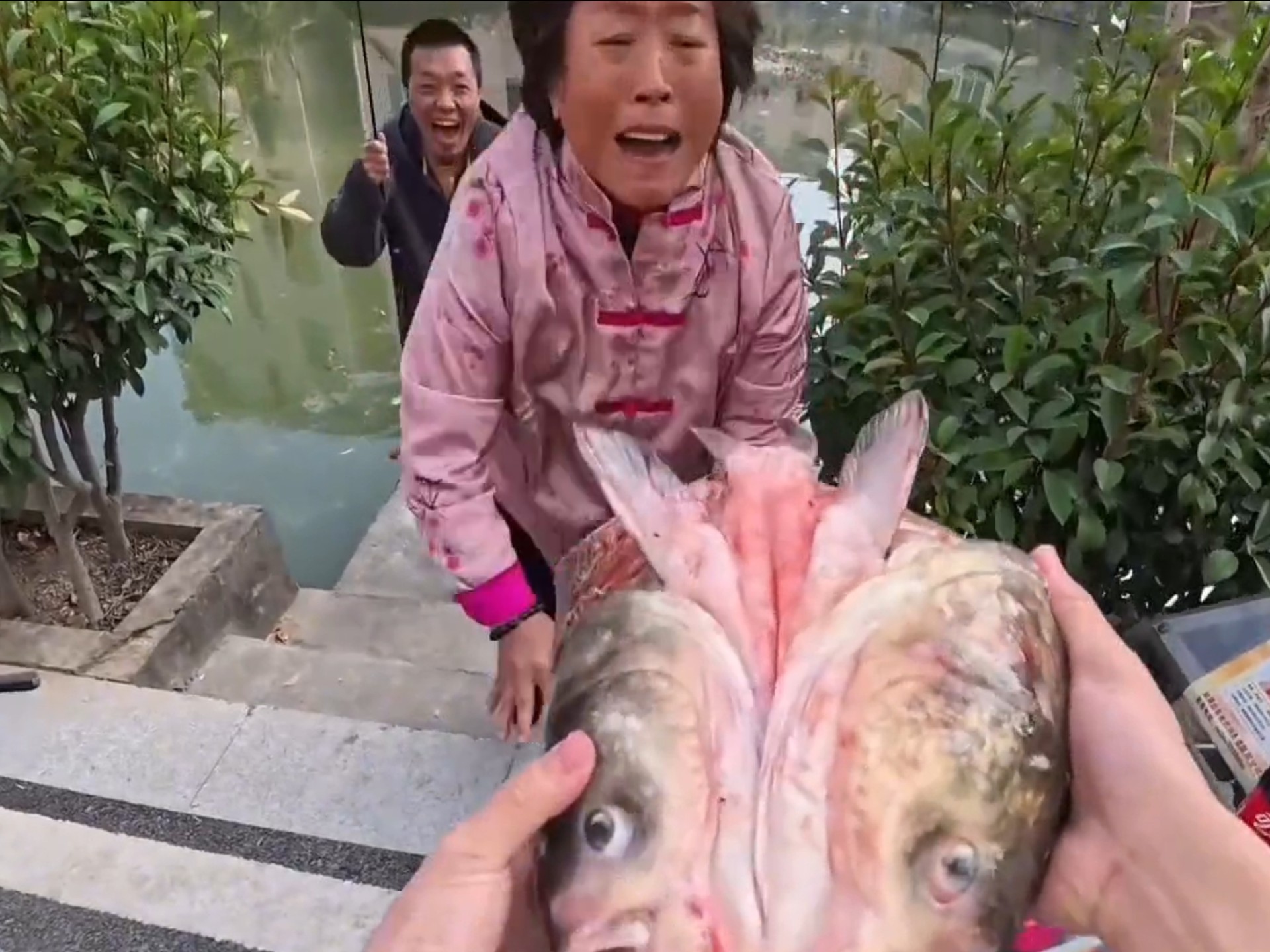 《放生老太与钓鱼佬》第二部