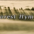 纯音乐-《Forest Hymn》(森林赞歌)