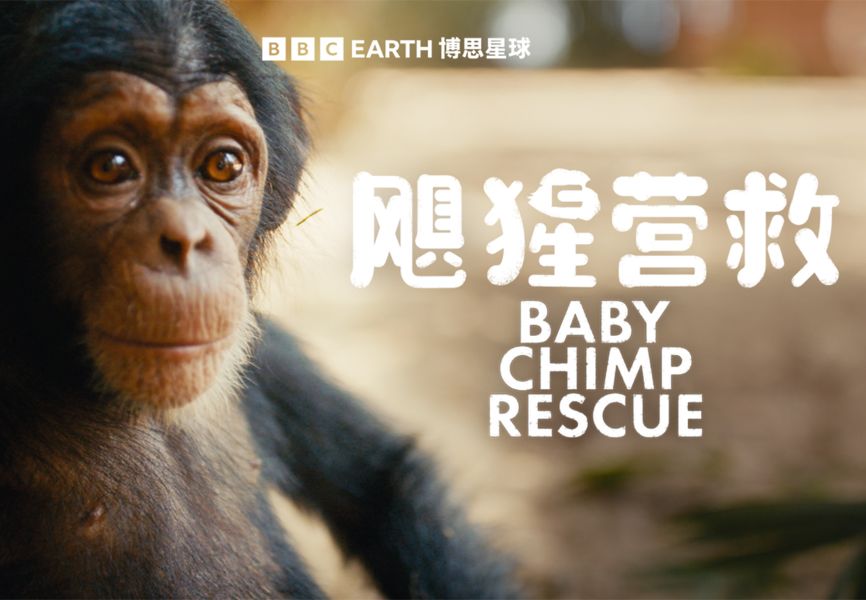 【飓猩营救】主预告：营救濒危黑猩猩计划