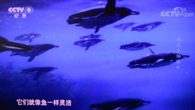 0b3f6c0090a8cb0abc93963e5f721d891b77f13b.jpg@280w_158h_1c_100q.jpg