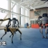 波士顿动力公司机器人发展史