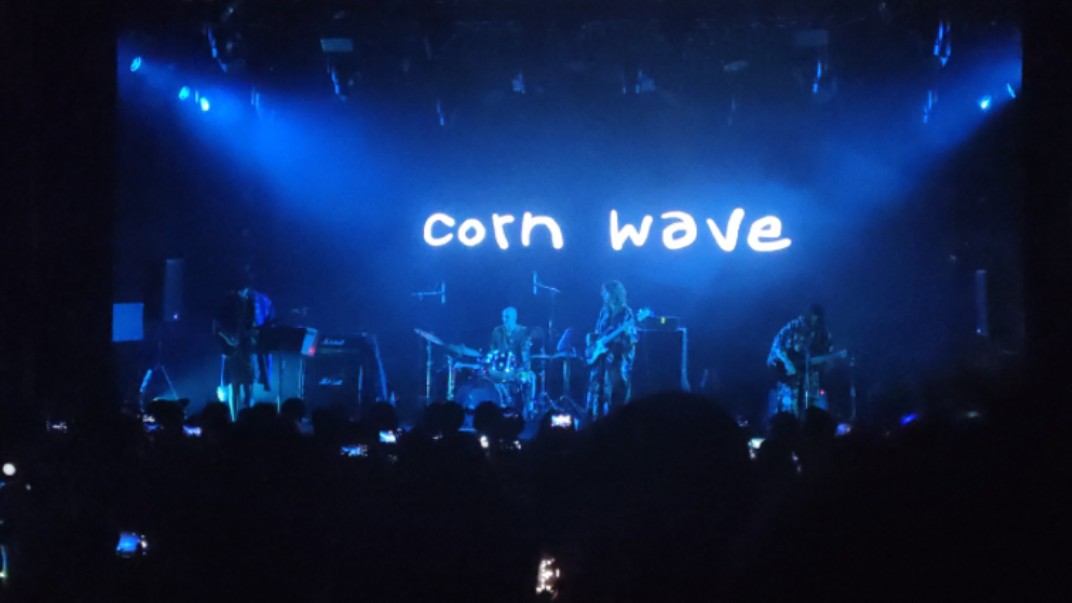 【Corn wave｜上海】evening