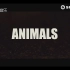 Martin Garrix - Animals工程