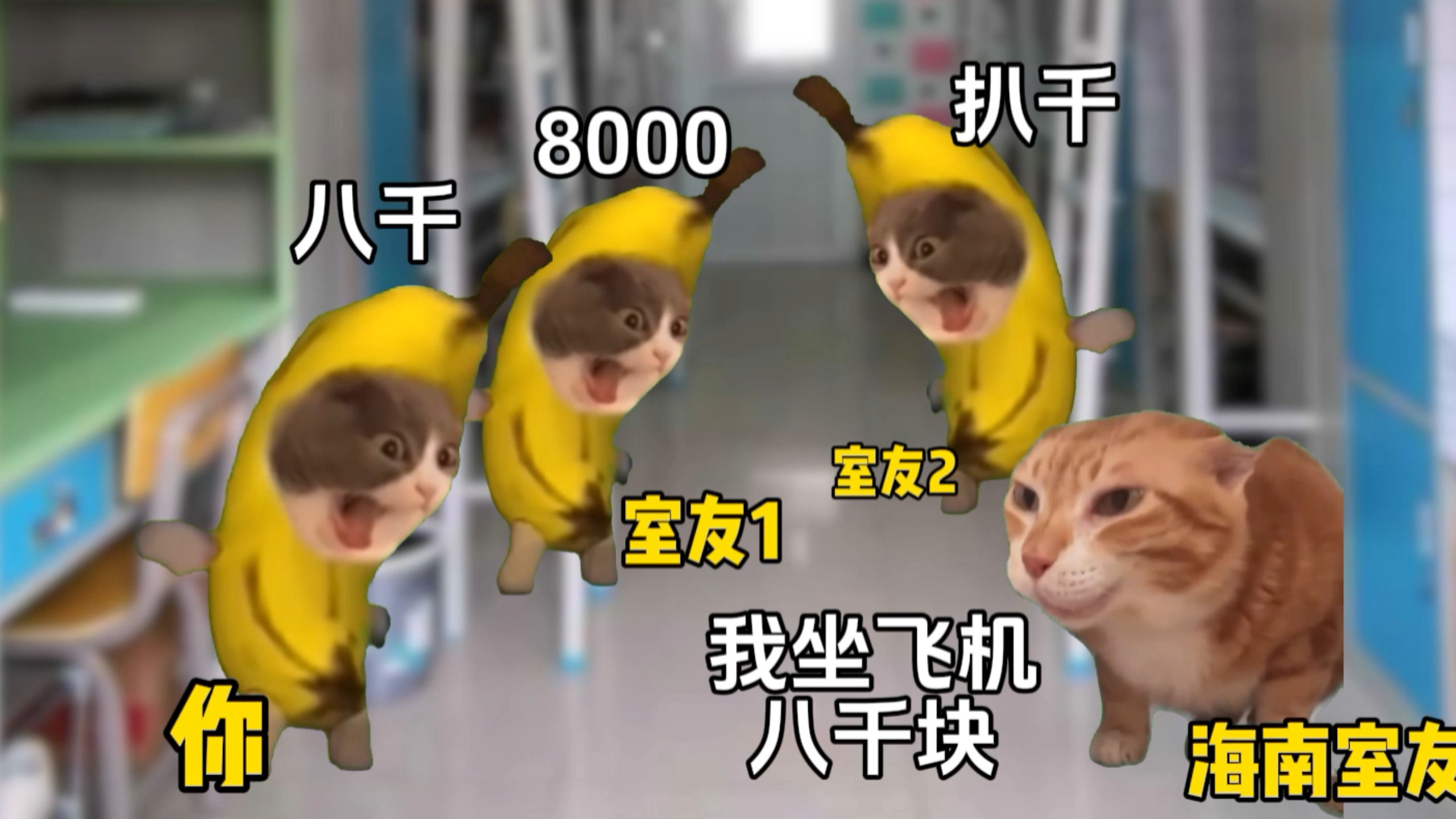 当你有个海南室友。