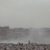 非洲最大垃圾场居民：身体被家摧残
