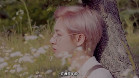 玫瑰少年纯音乐曲谱_纯音乐玫瑰少年简谱