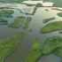 中国履约30年，湿地保护成果呈现，《湿地公约》第十四届缔约方大会COP14