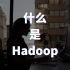 什么是Hadoop