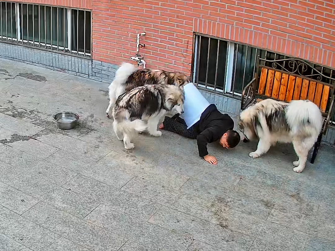 看我老公如何卡桶自救
