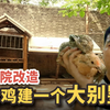 小院改造：给鸡建造一个大别墅