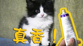 0bbea0d143432e0aa8c54e0b8670e0005a8b03b9.jpg@280w_158h_1c_100q.jpg