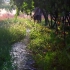 【空镜头】农村农业水渠阳光光线 视频素材分享