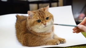 0bd8d496bc3881e318f4dae73e3a8e7a27698d8d.jpg@280w_158h_1c_100q.jpg