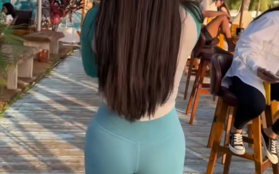 What kind of dog is this?