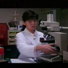 南野陽子 菩提樹  片段