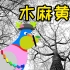 【克苏鲁跑团】《木麻黄树》 跨年短团 拳击手大战咕咕咕