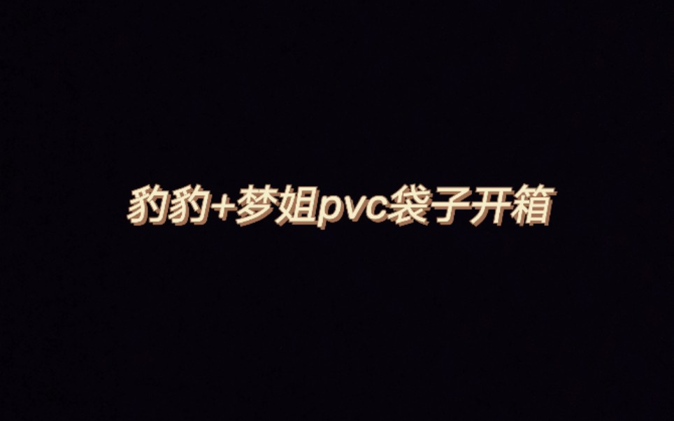 【博君一肖】豹豹+梦姐pvc袋子开箱哔哩哔哩bilibili