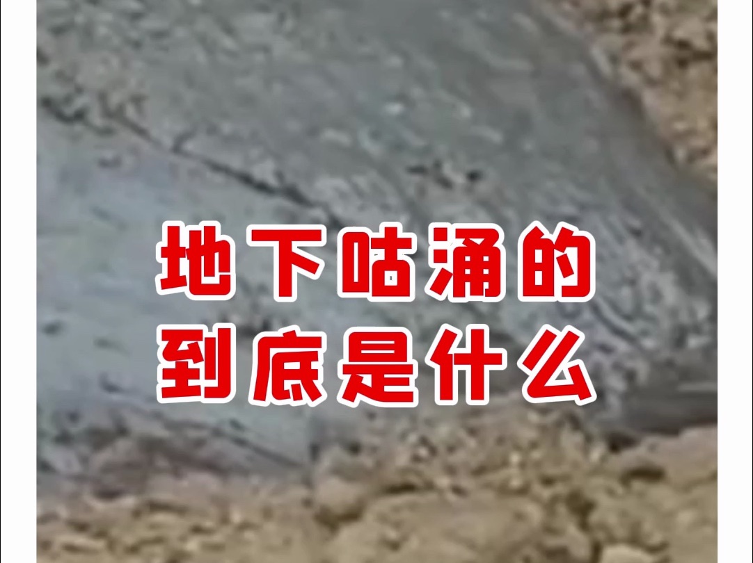 【微拍堂】地下动来动的 到底是什么?