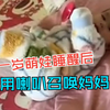 一岁萌娃睡醒后吹喇叭召唤妈妈 “第一次听到宝宝吹喇叭惊呆了” 评论区宝妈纷纷上线：还不如哭呢