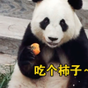话唠美欣：奶爸，你的欣已经3秒钟没吃饭了～奶爸：给你，吃完了回家啊～咩咩不停的美欣：吃完再说～哈哈哈哈哈哈哈（241101林胡古塞糊涂丁直播录屏美欣cut