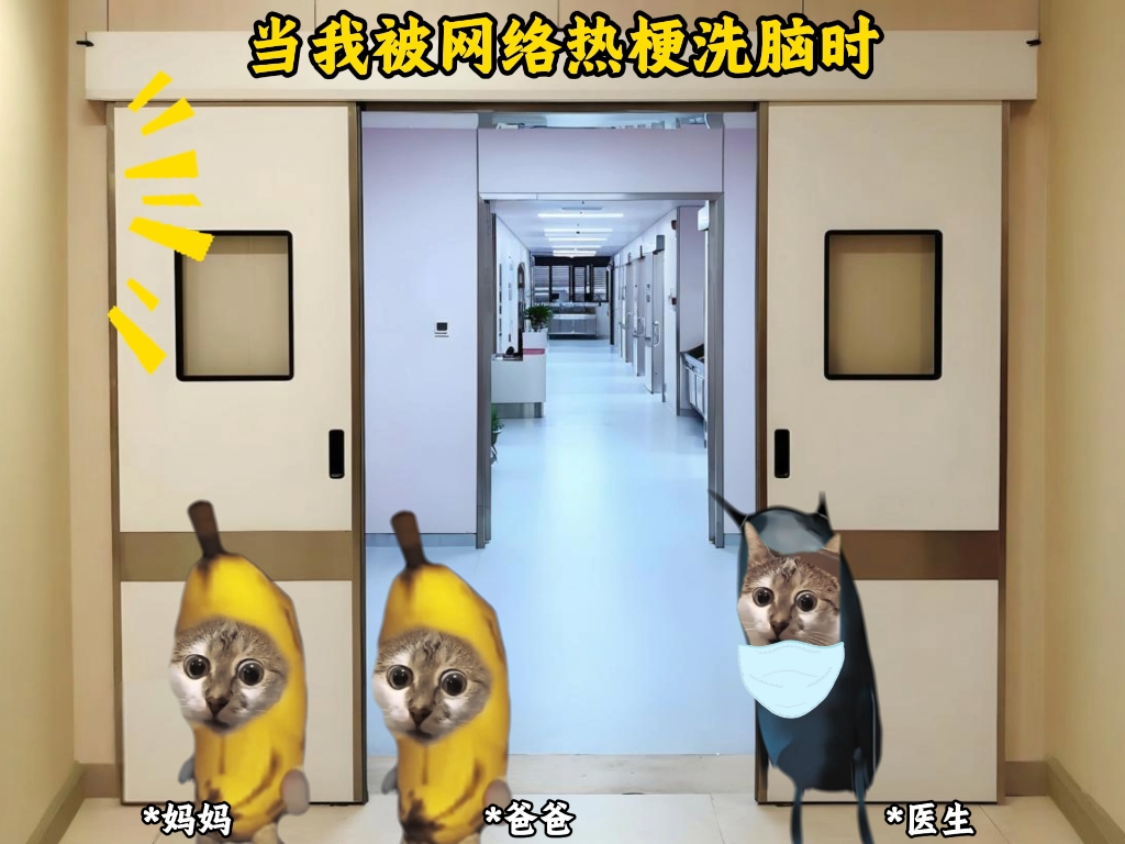 当我被网络热梗洗脑时