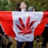 【睡前消息】卖大麻竟然都卖亏本，加拿大此刻啥心情？【19-07-12】