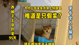 0c1c40530584f4f7005ee70105933436025479fc.jpg@280w_158h_1c_100q.jpg