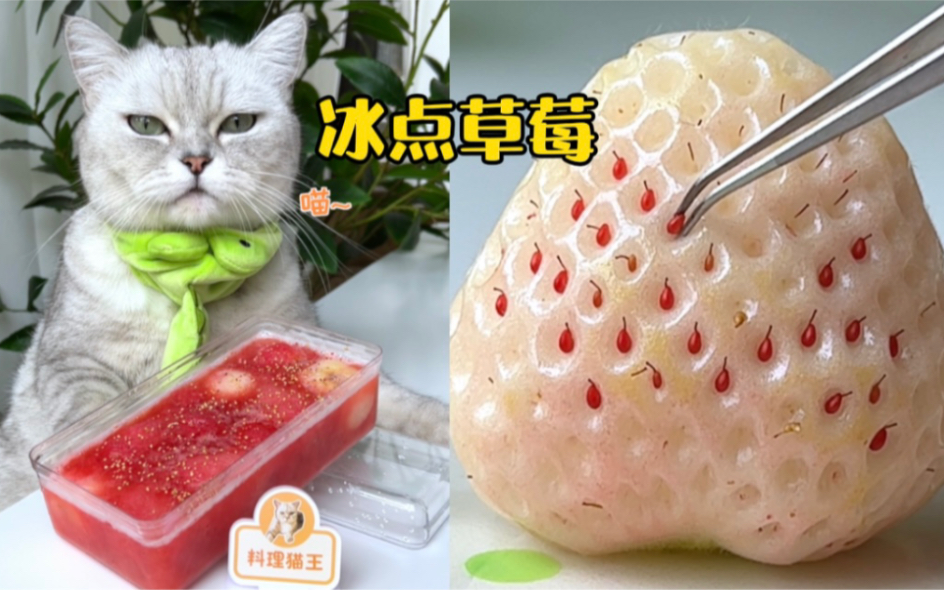 猫王：一份价值500元的冰点草莓！