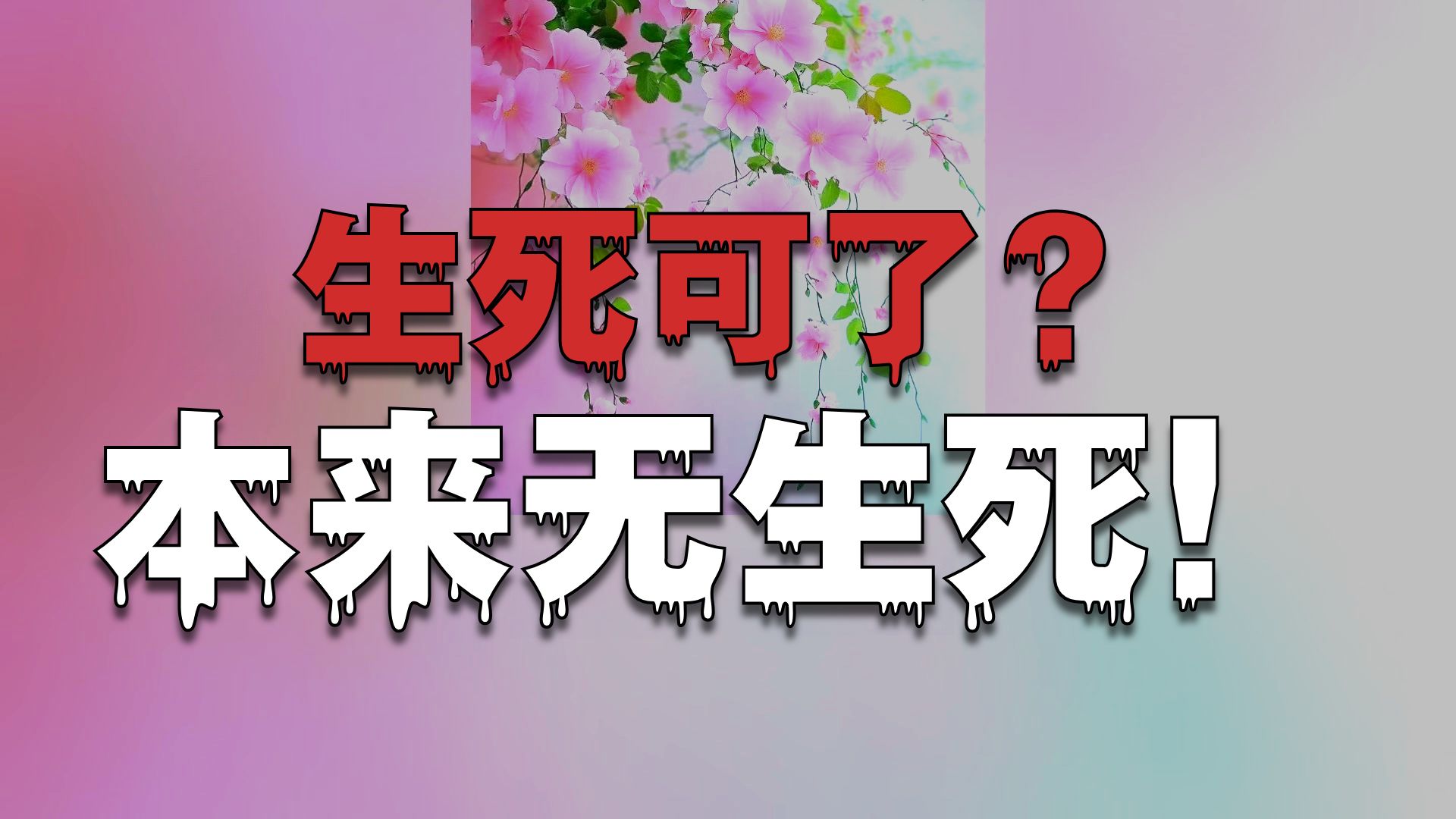 体佛法师开示：了生死