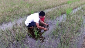 石头记事最新消息 0c3e47b27fba5ebf1fae3c43bf2c598a32b66b8e.jpg@280w_158h_1c_100q.jpg