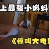 脑洞大开！男人误服神秘药物，体内蝌蚪成精威胁人类，惊悚喜剧片