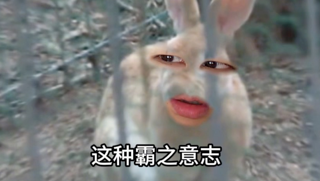 《霸の意志》