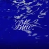 【文艺短片】克莱因蓝——大海的深处贩卖着蓝色的孤独
