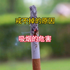 吸烟都有哪些危害，为什么烟瘾很难戒掉