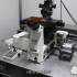 共聚焦显微镜使用流程