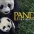 【国家地理频道】大熊猫归家路 双语字幕 Pandas The Journey Home (2014)