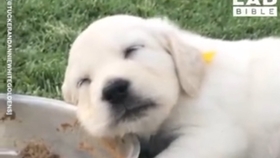 90公里开车大概要多久 0c9cb1bfa1eb3cab3e289456450062128c0fbe98.jpg@280w_158h_1c_100q.jpg