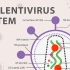 【中字】重组慢病毒载体系统介绍（The Recombinant Lentivirus System）